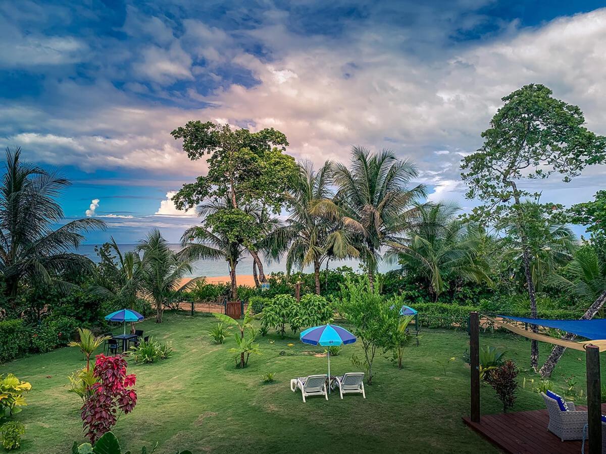 Oasis Bluff Beach Bocas del Toro Esterno foto