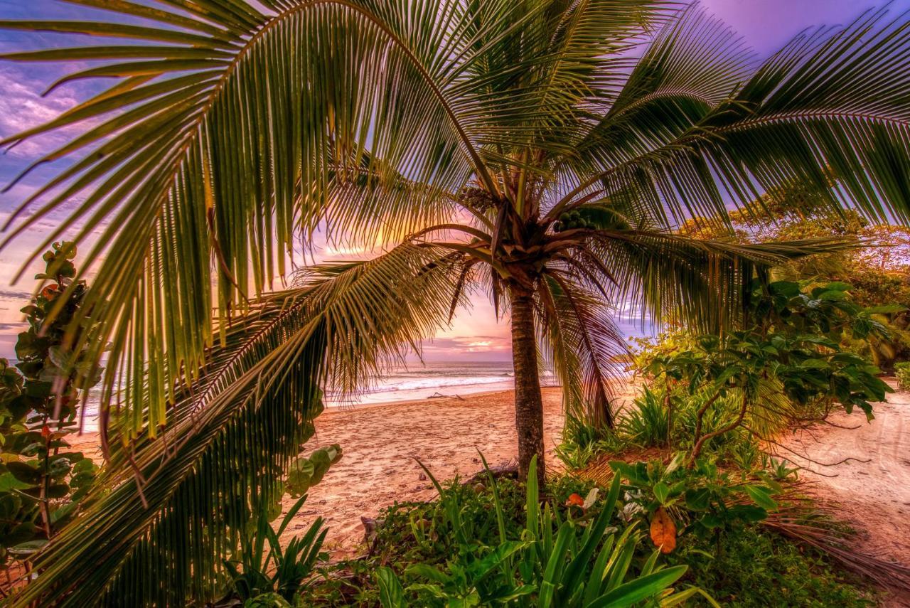 Oasis Bluff Beach Bocas del Toro Esterno foto