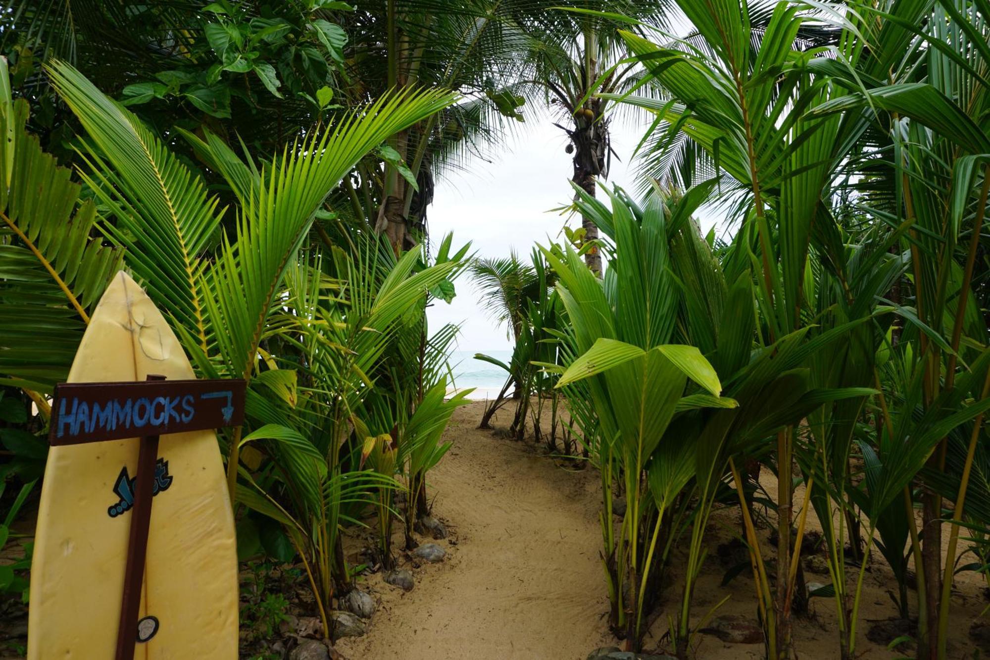Oasis Bluff Beach Bocas del Toro Esterno foto