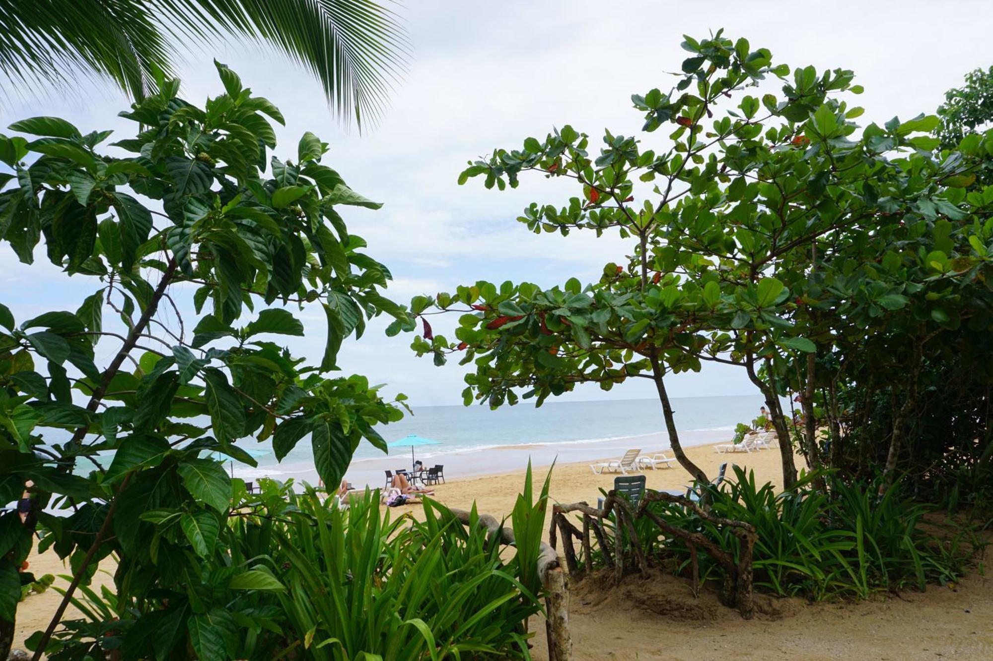 Oasis Bluff Beach Bocas del Toro Esterno foto
