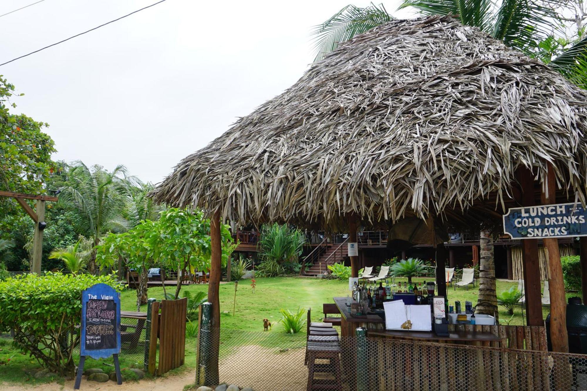 Oasis Bluff Beach Bocas del Toro Esterno foto