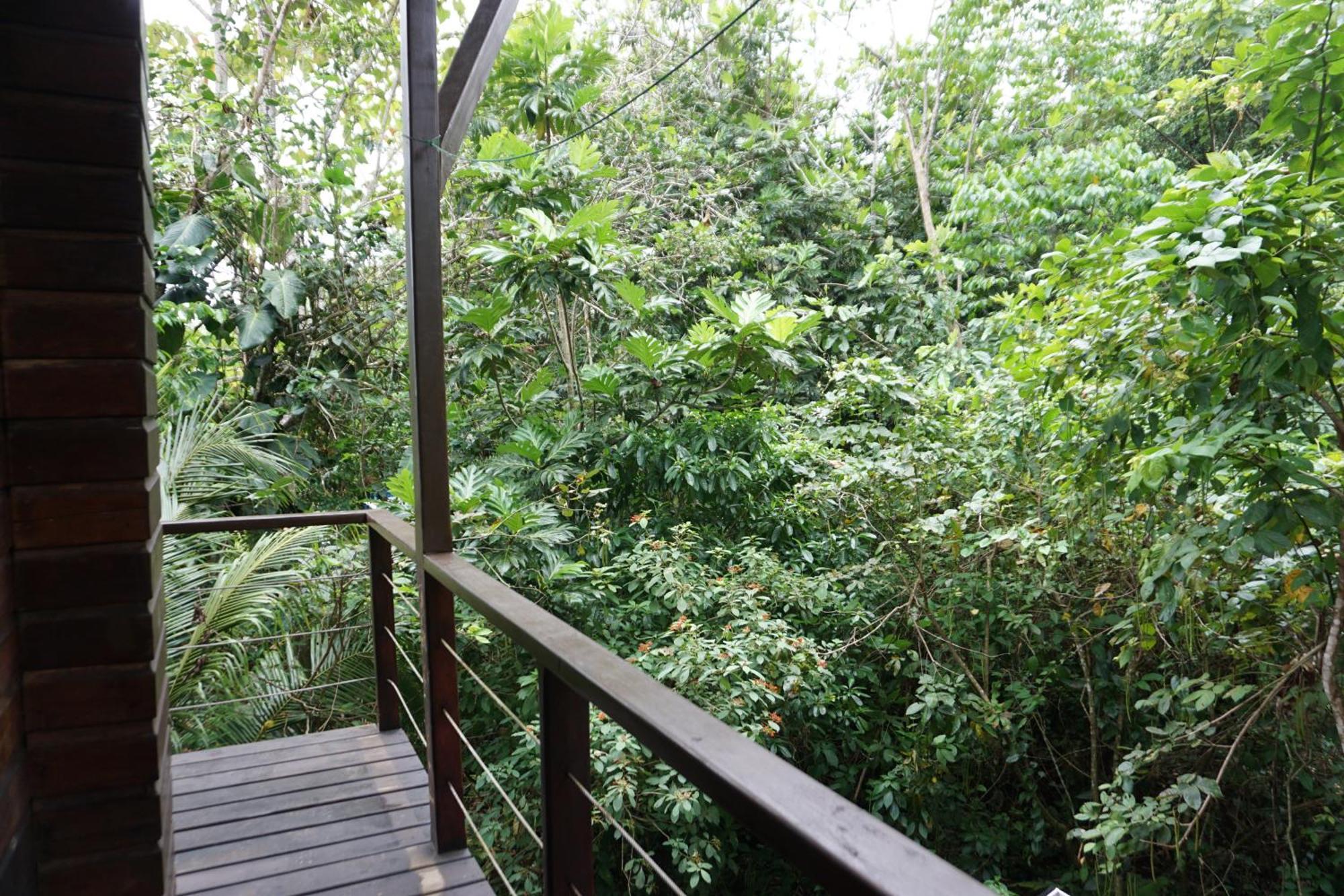 Oasis Bluff Beach Bocas del Toro Esterno foto